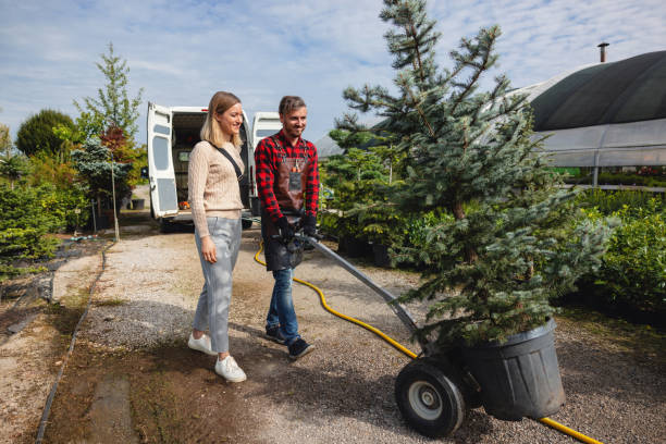 Best Leaf Removal  in USA